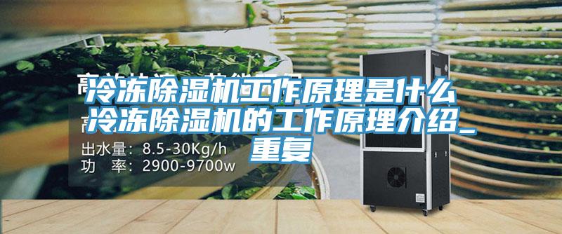 冷冻除湿机工作原理是什么 冷冻除湿机的工作原理介绍_重复