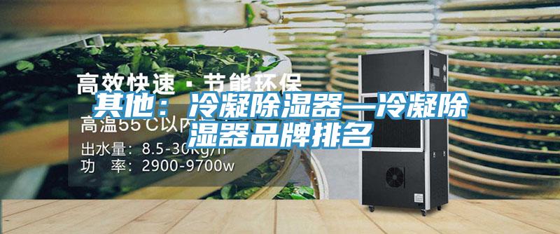 其他：冷凝除湿器—冷凝除湿器品牌排名