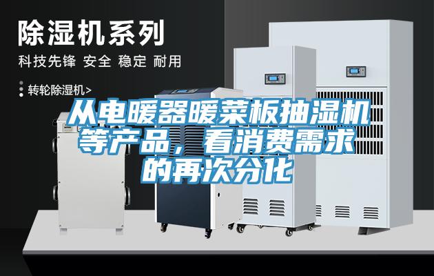 从电暖器暖菜板抽湿机等产品，看消费需求的再次分化