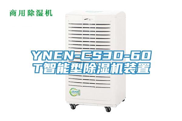 YNEN-CS3D-60T智能型除湿机装置