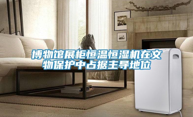 博物馆展柜恒温恒湿机在文物保护中占据主导地位