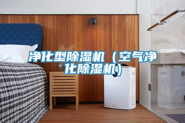 净化型除湿机（空气净化除湿机）