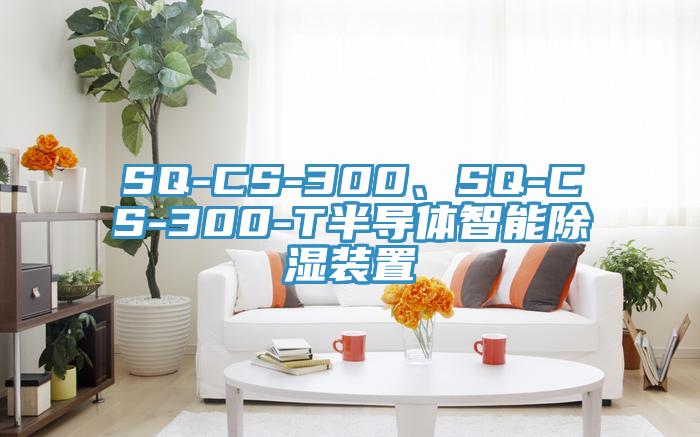 SQ-CS-300、SQ-CS-300-T半导体智能除湿装置