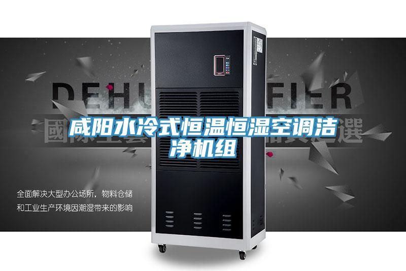 咸阳水冷式恒温恒湿空调洁净机组