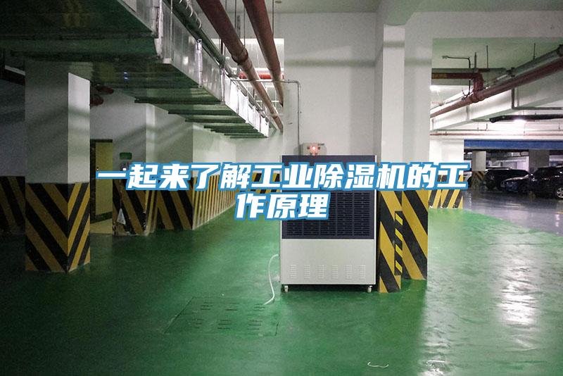 一起来了解工业除湿机的工作原理