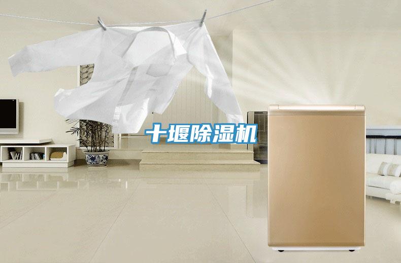 十堰除湿机