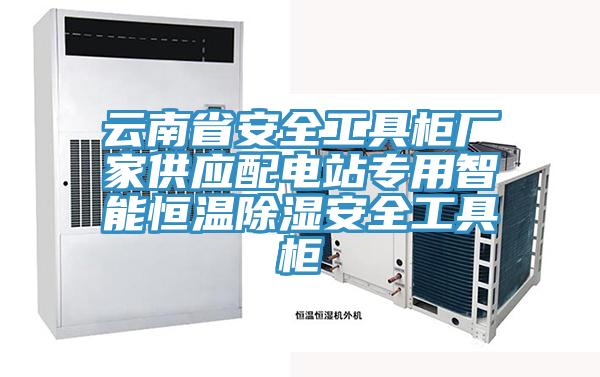 云南省安全工具柜厂家供应配电站专用智能恒温除湿安全工具柜
