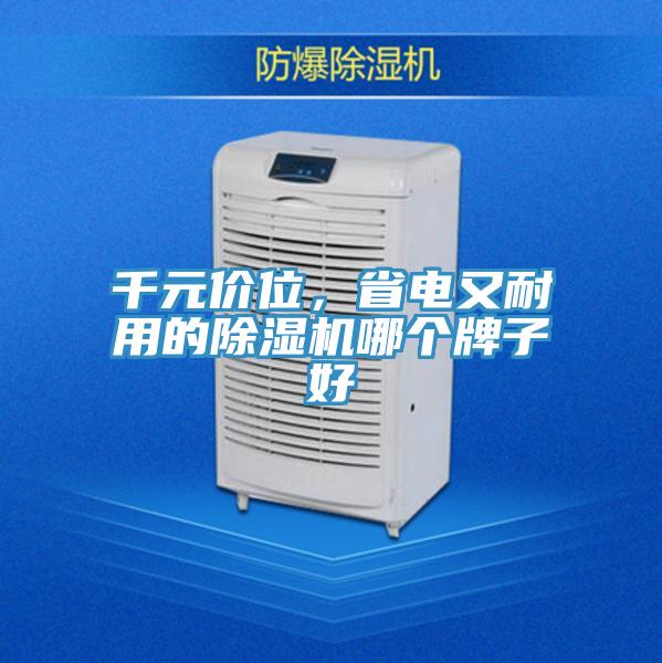 千元价位，省电又耐用的除湿机哪个牌子好