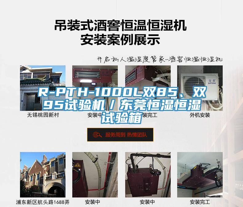 R-PTH-1000L双85、双95试验机/东莞恒湿恒湿试验箱