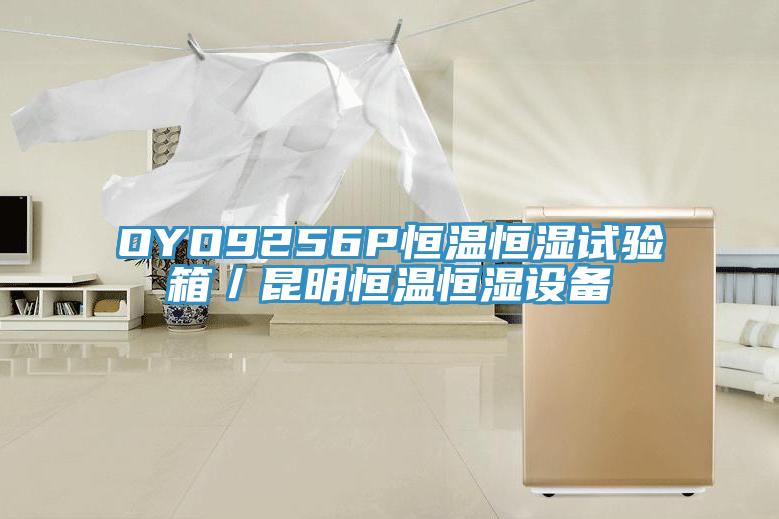 OYO9256P恒温恒湿试验箱/昆明恒温恒湿设备