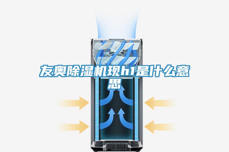 友奥除湿机现h1是什么意思