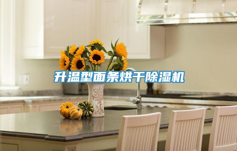 升温型面条烘干除湿机