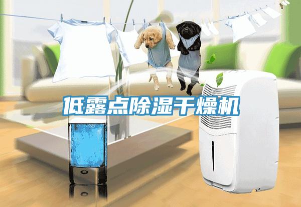 低露点除湿干燥机
