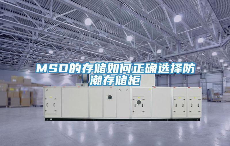 MSD的存储如何正确选择防潮存储柜