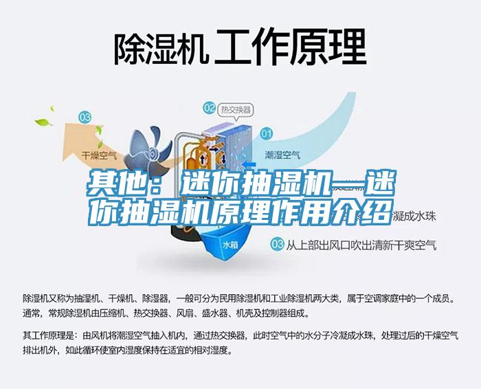 其他：迷你抽湿机—迷你抽湿机原理作用介绍