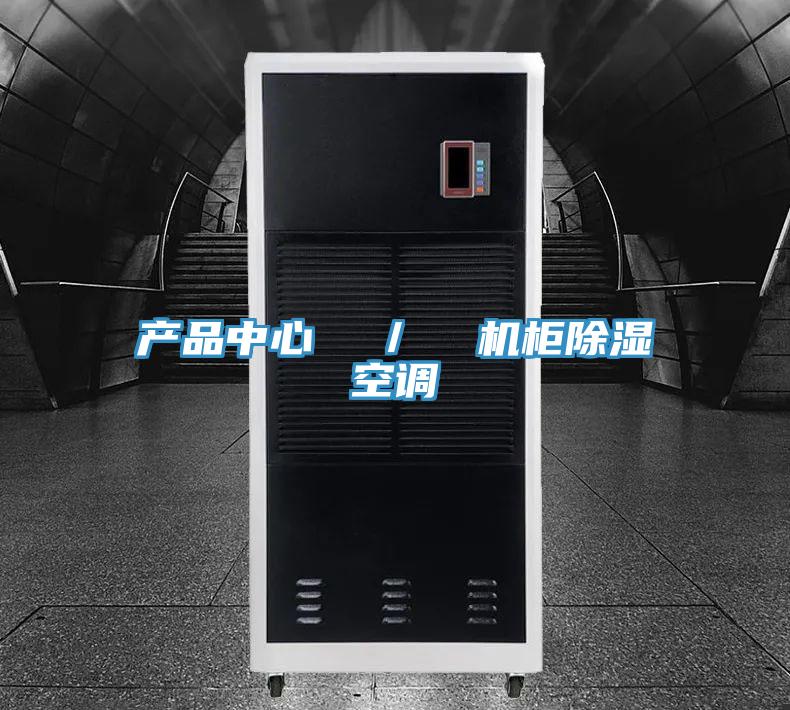 产品中心  ／  机柜除湿空调