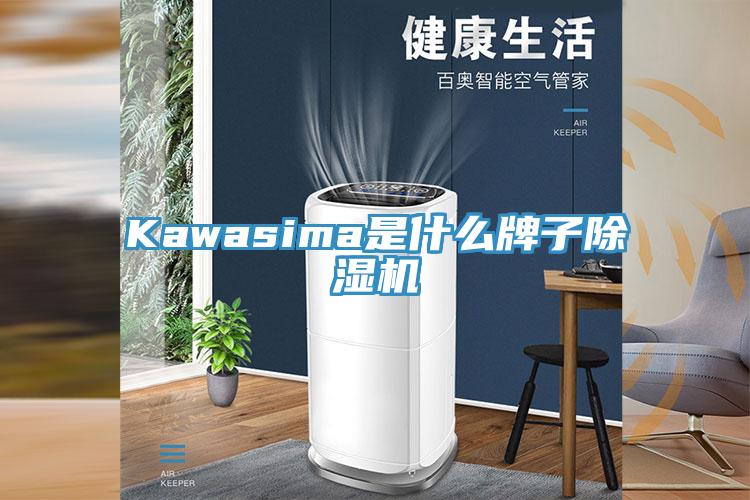 Kawasima是什么牌子除湿机