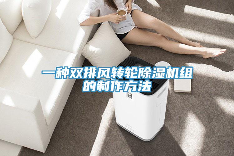 一种双排风转轮除湿机组的制作方法