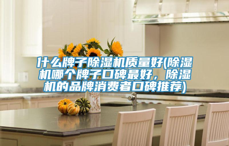什么牌子除湿机质量好(除湿机哪个牌子口碑最好，除湿机的品牌消费者口碑推荐)