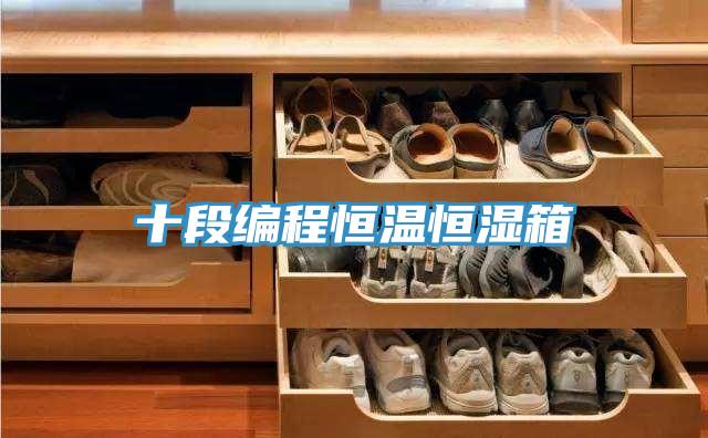 十段编程恒温恒湿箱
