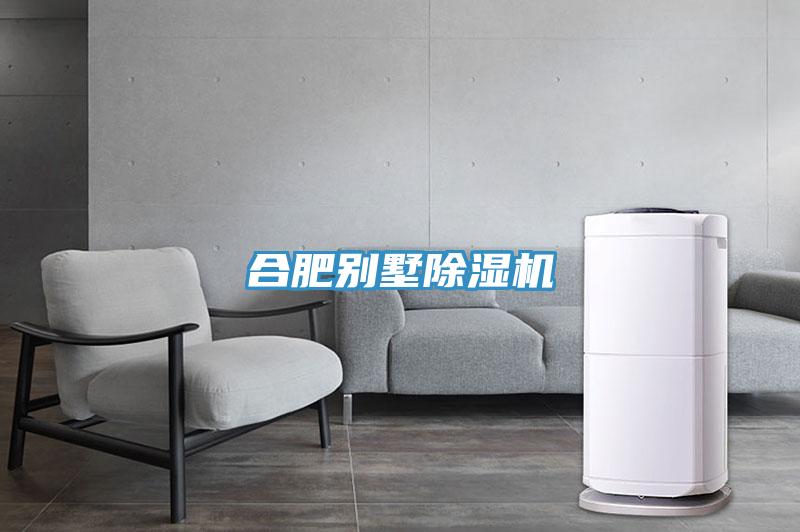 合肥别墅除湿机