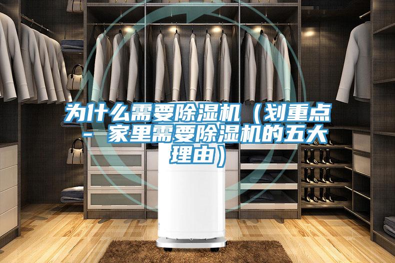 为什么需要除湿机（划重点 - 家里需要除湿机的五大理由）