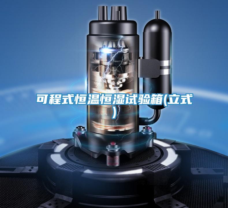 可程式恒温恒湿试验箱(立式)