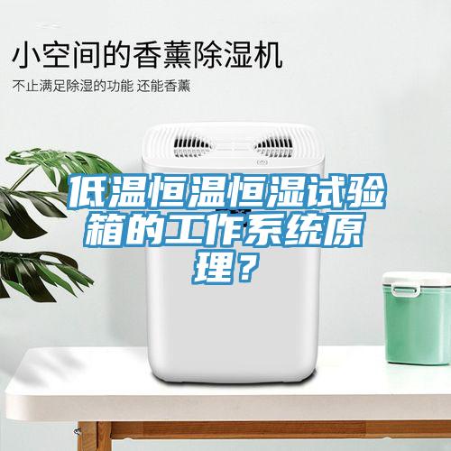 低温恒温恒湿试验箱的工作系统原理？
