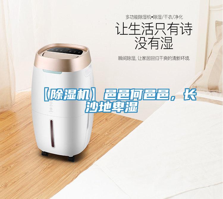【除湿机】邑邑何邑邑，长沙地卑湿