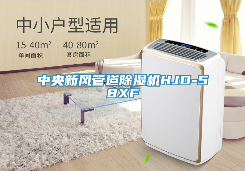 中央新风管道除湿机HJD-58XF