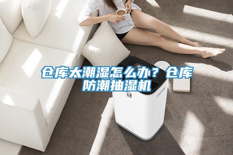 仓库太潮湿怎么办?仓库防潮抽湿机