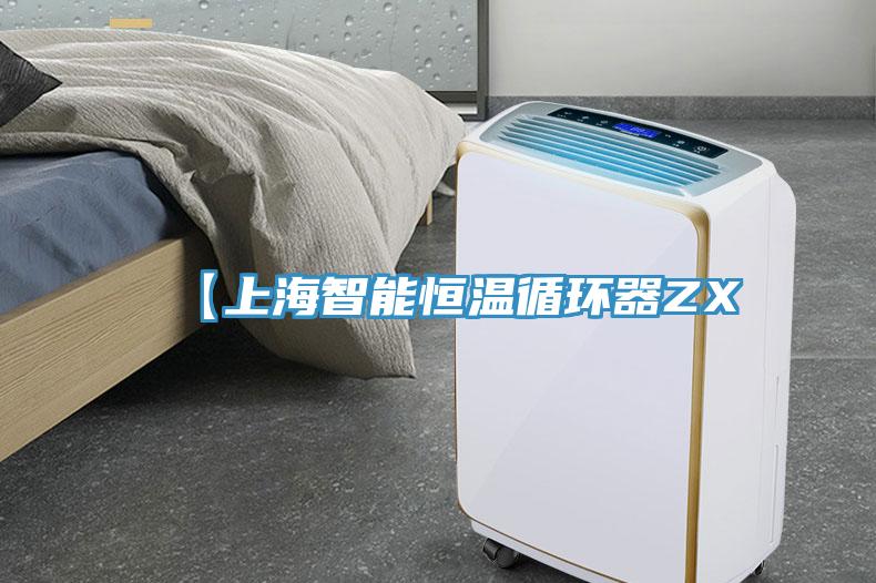 【上海智能恒温循环器ZX