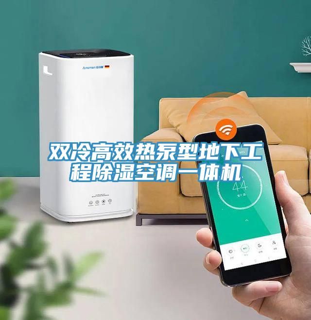 双冷高效热泵型地下工程除湿空调一体机