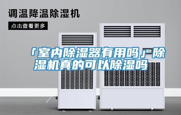 「室内除湿器有用吗」除湿机真的可以除湿吗