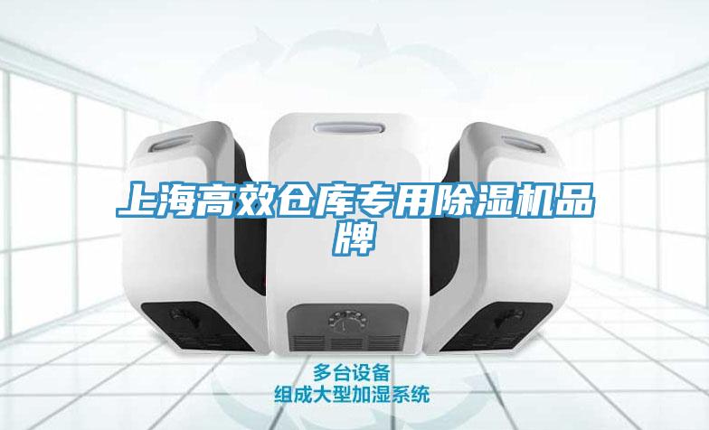 上海高效仓库专用除湿机品牌
