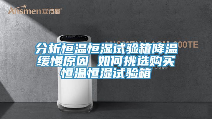 分析恒温恒湿试验箱降温缓慢原因 如何挑选购买恒温恒湿试验箱