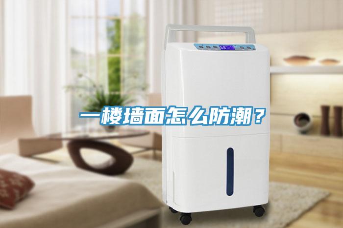 一楼墙面怎么防潮？