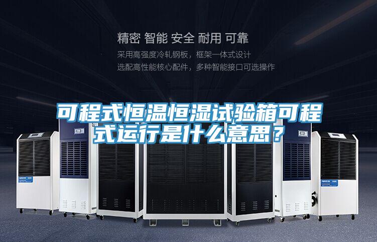 可程式恒温恒湿试验箱可程式运行是什么意思？