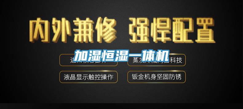 加湿恒湿一体机