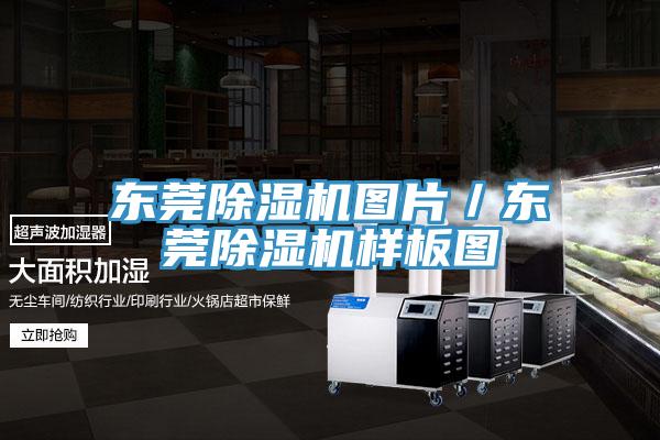 东莞除湿机图片／东莞除湿机样板图