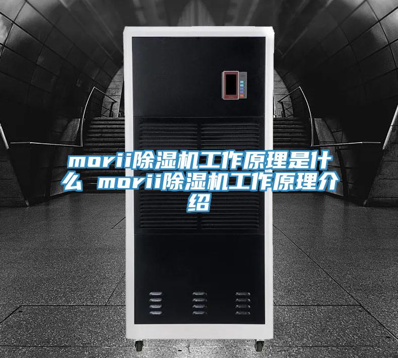 morii除湿机工作原理是什么 morii除湿机工作原理介绍