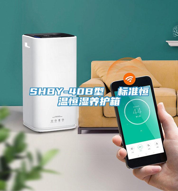 SHBY-40B型 标准恒温恒湿养护箱