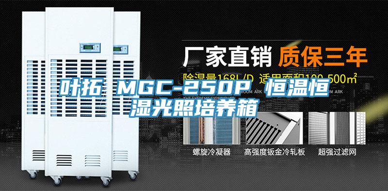 叶拓 MGC-250P 恒温恒湿光照培养箱