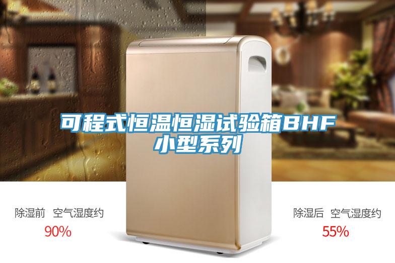 可程式恒温恒湿试验箱BHF小型系列