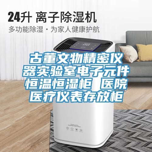 古董文物精密仪器实验室电子元件恒温恒湿柜 医院医疗仪表存放柜