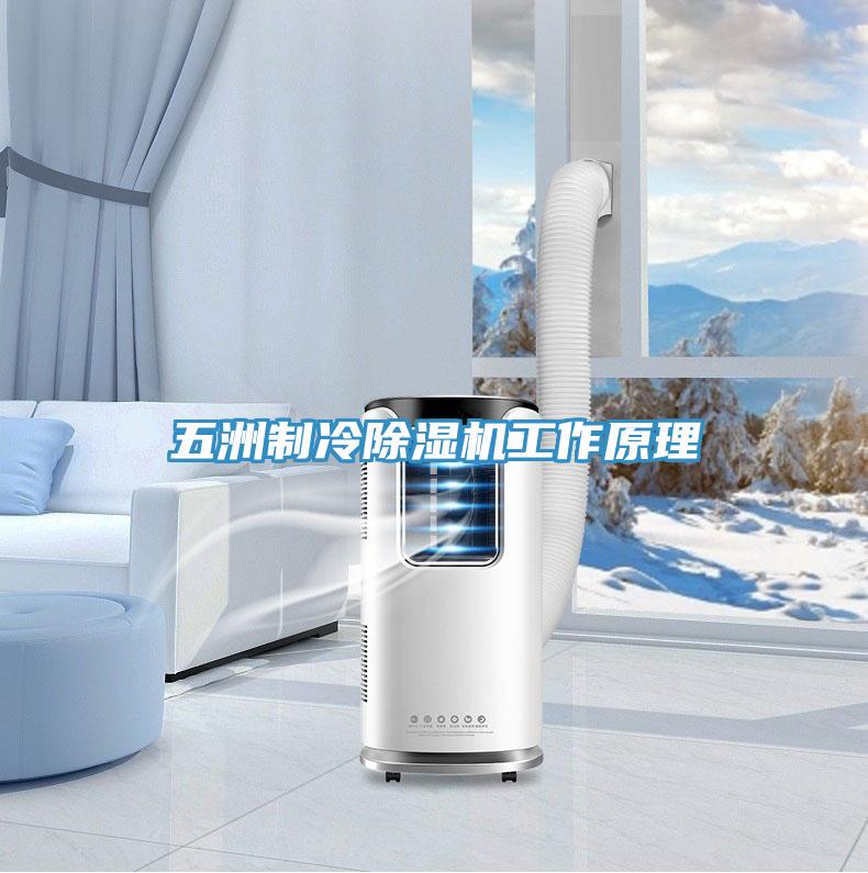 五洲制冷除湿机工作原理