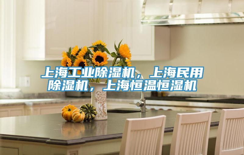 上海工业除湿机，上海民用除湿机，上海恒温恒湿机