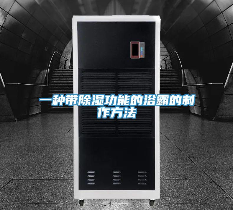一种带除湿功能的浴霸的制作方法