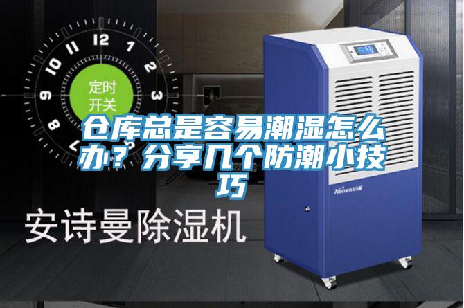仓库总是容易潮湿怎么办？分享几个防潮小技巧