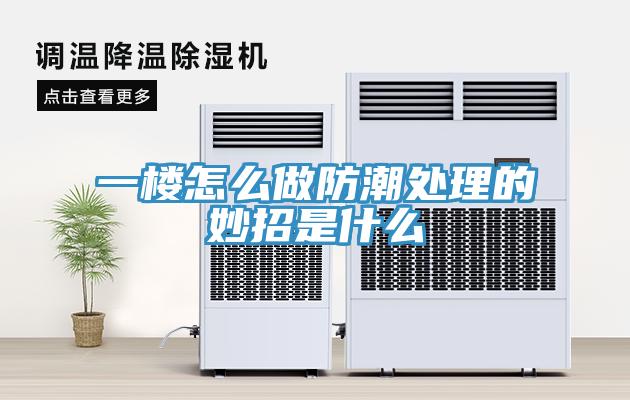 一楼怎么做防潮处理的妙招是什么